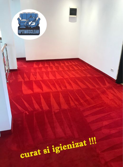 Curatare - spalare - igienizare canapele,saltele,fotolii,mocheta,auto