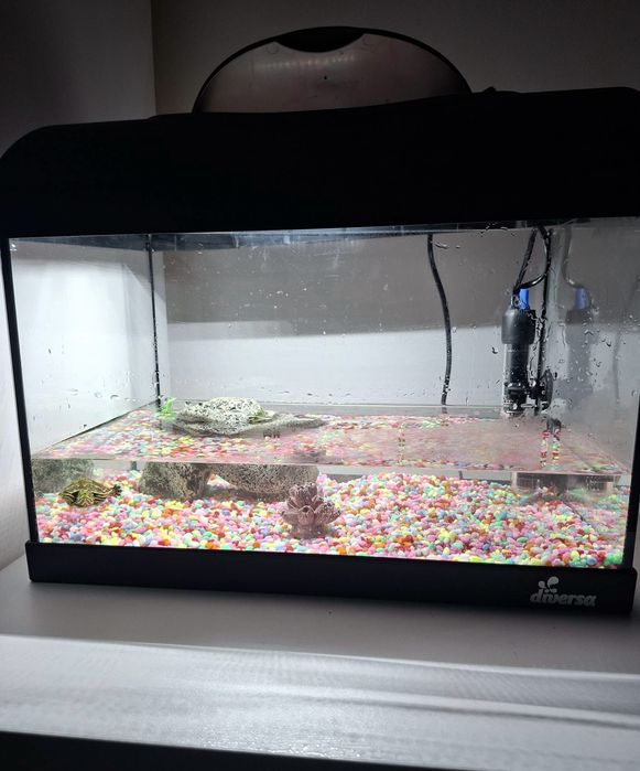 Vand acvariu 20l