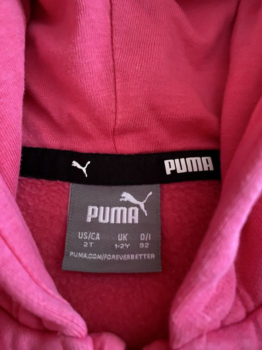 Trening puma 1-2 ani