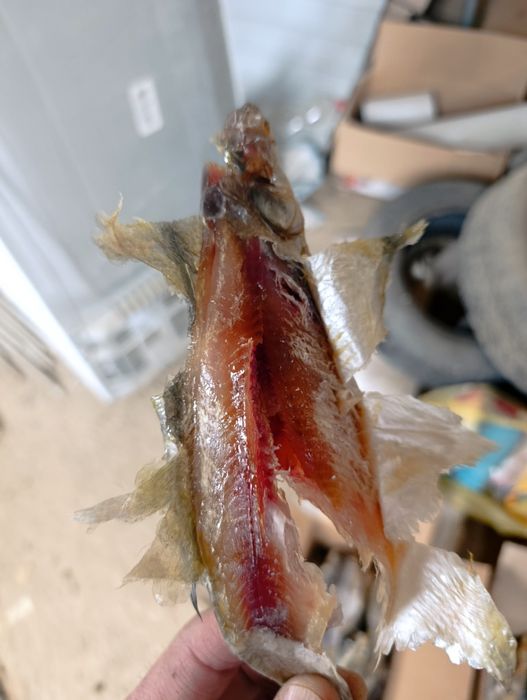 Сушенная рыба , вяленная