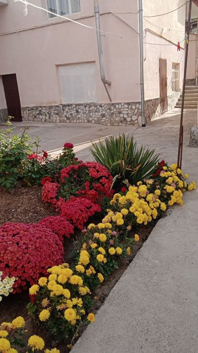 Xovli sotiladi 7sotix chirchiq oktyabr bozorda