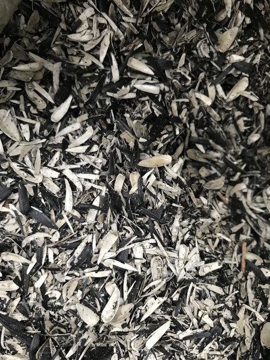 лузга Шелуха семечки подсолнуха