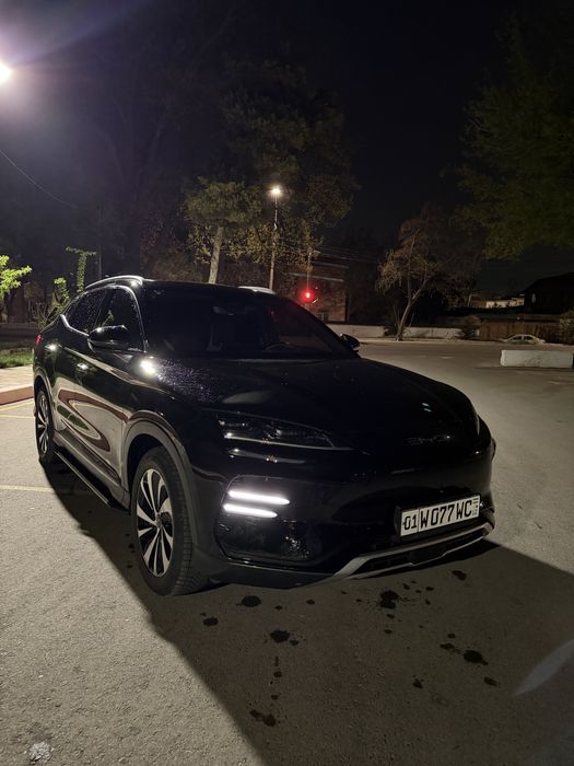 BYD Chempion 2024 Full