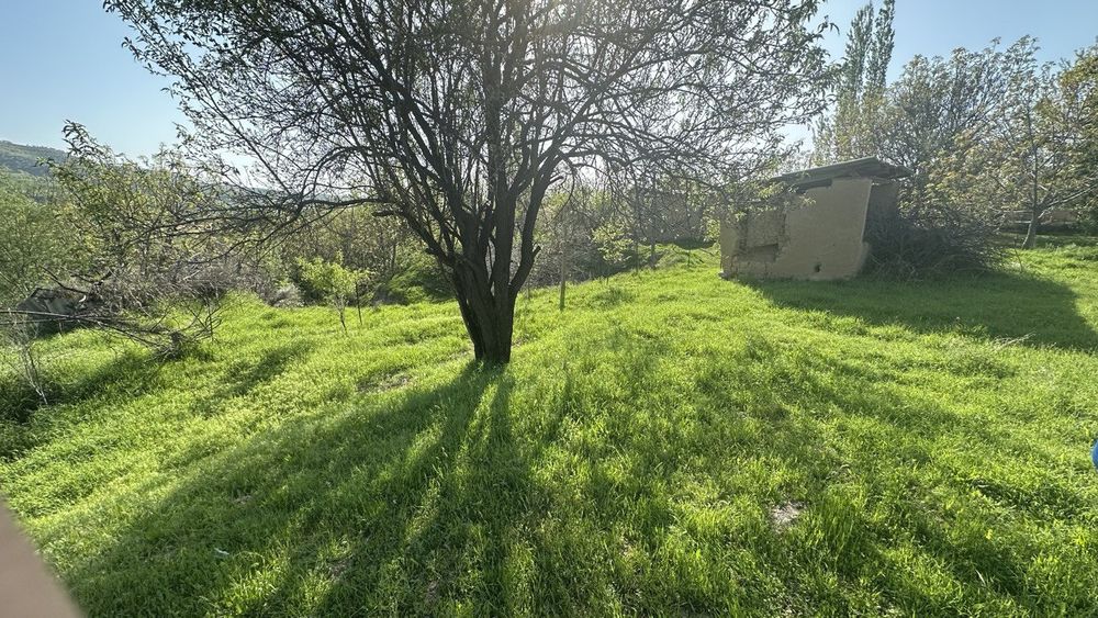 Parkent Tumani 5100$ sotix kelishamiz