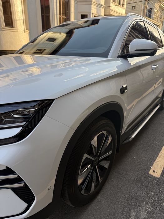 BYD chempion smart 2025