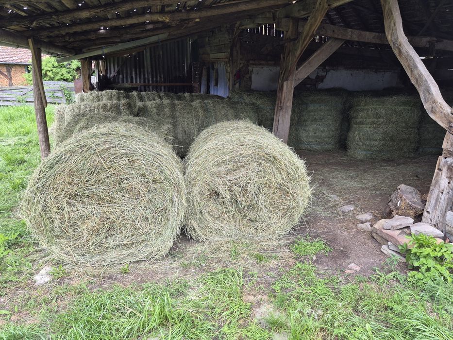 Baloti de lucerna cu certificat ECOLOGIC