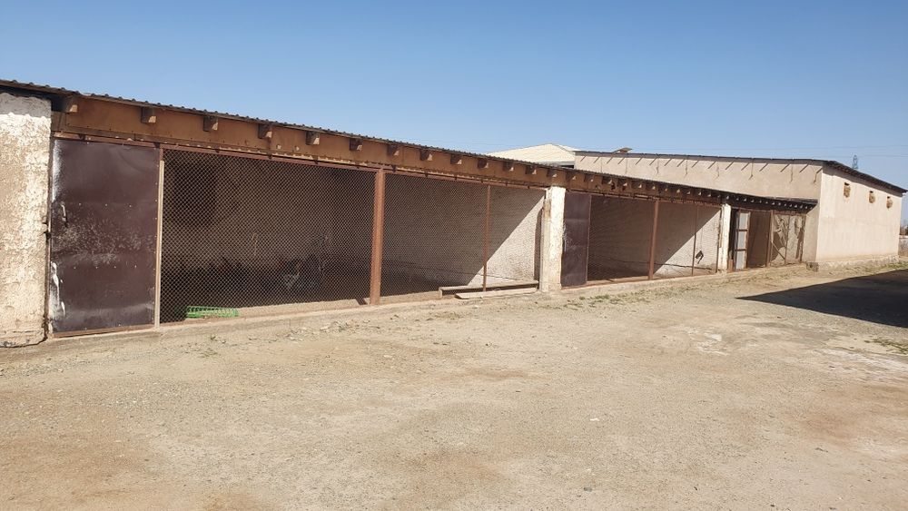 Ферма биноси сотилади.