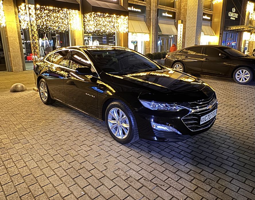 Malibu Premier 2021  Тозза