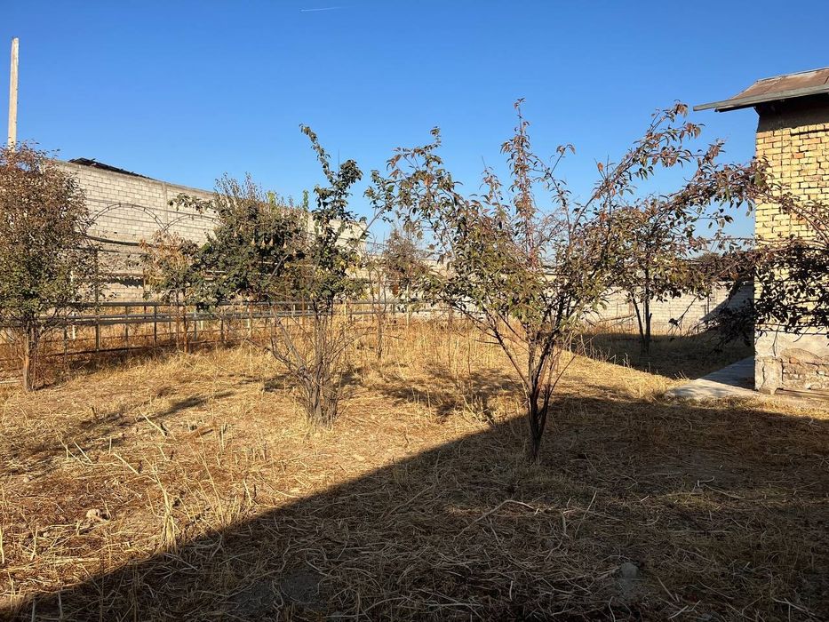 Назарбек Репром 5 сотих