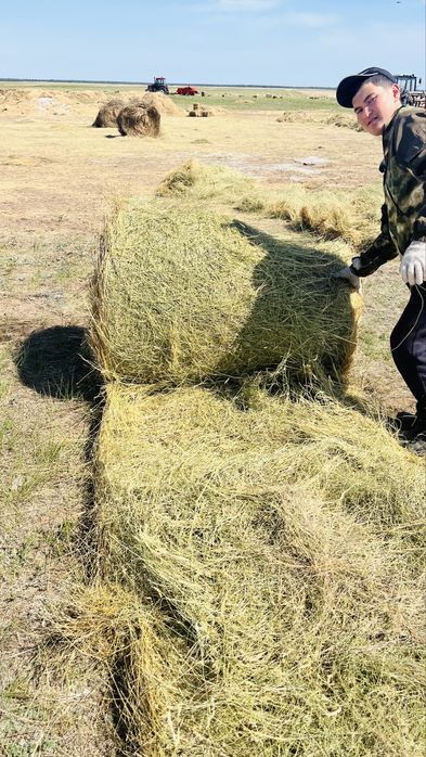 Тюки сено на продажу