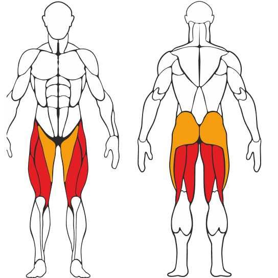 Impulse PL9019
Разгибание/Сгибание ног Oyoq uchun trenajor