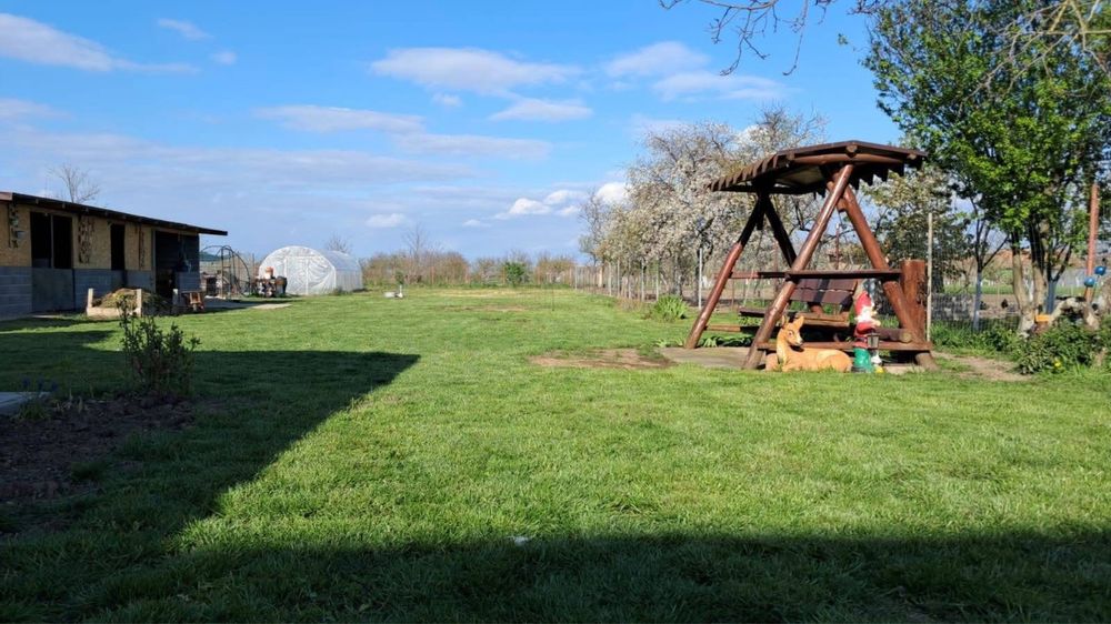 Amenajari si intretinere Spati Verzi