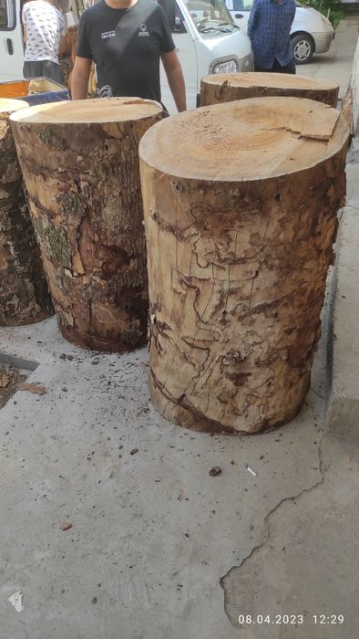 Kunda qassoblaga chinor