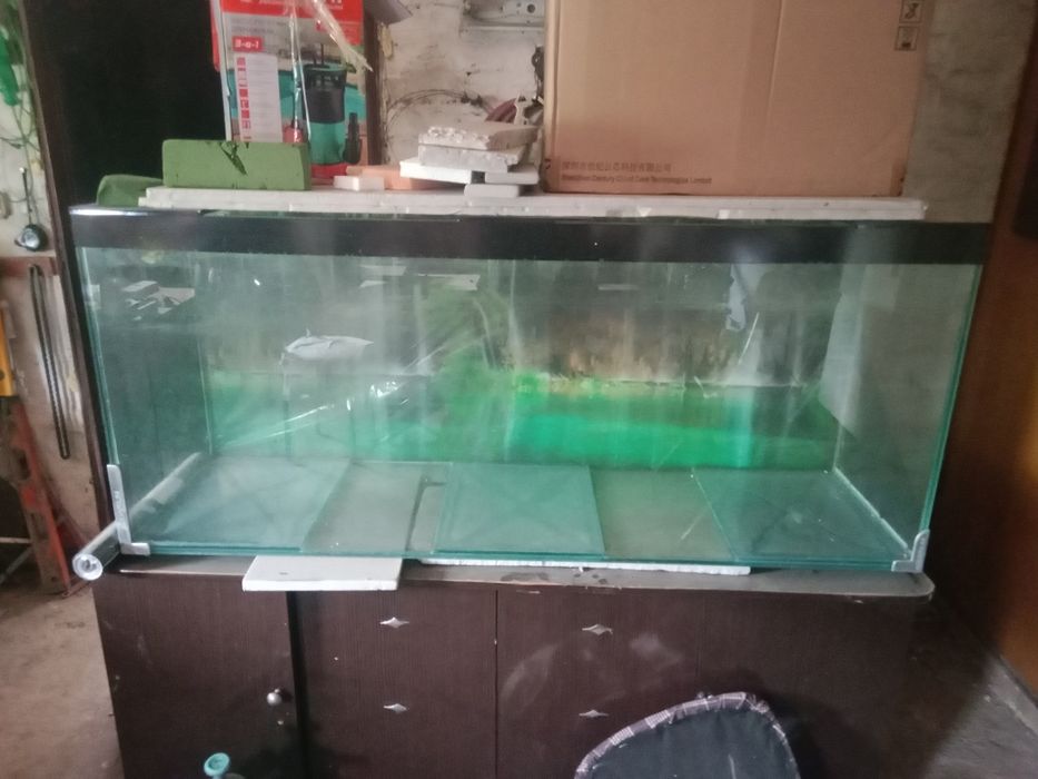 Продам аквариум срочно