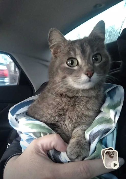 По дороге к счастью - Боня