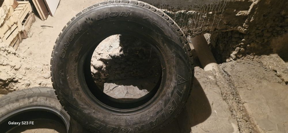 Зимняя резина Triangle