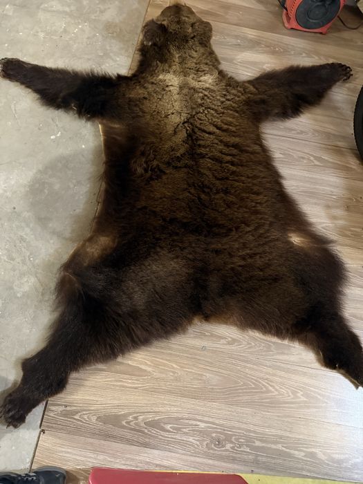 Чучело медведя ….