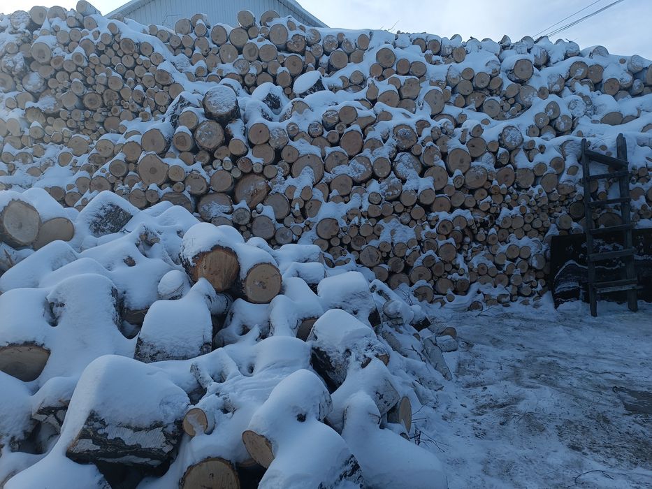 Продам  дрова береза