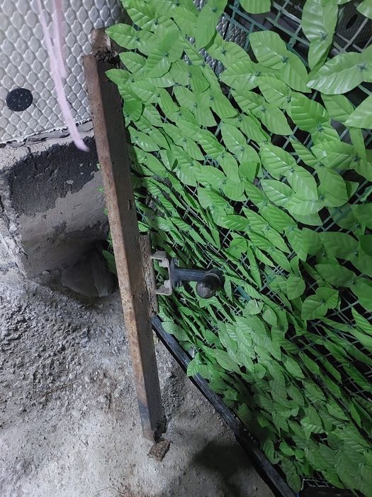 Фаркоп на лековых