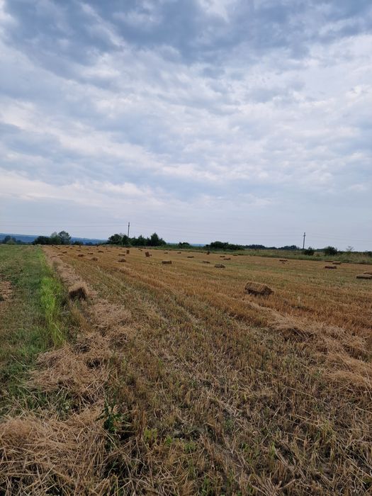 Vand baloti de ovaz si grau