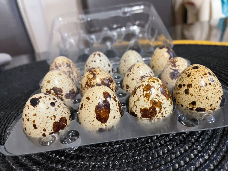 Домашни яйца от пъдпъдъци