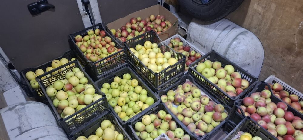 Продам! Яблоки с гор много есть