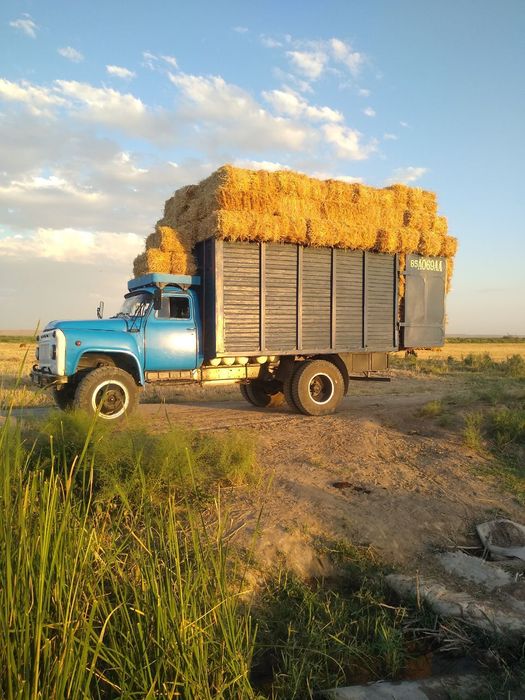 Gaz 53.  Xolati zoʻr