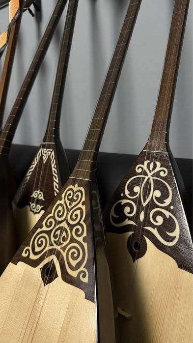 Профессинальные Домбыры