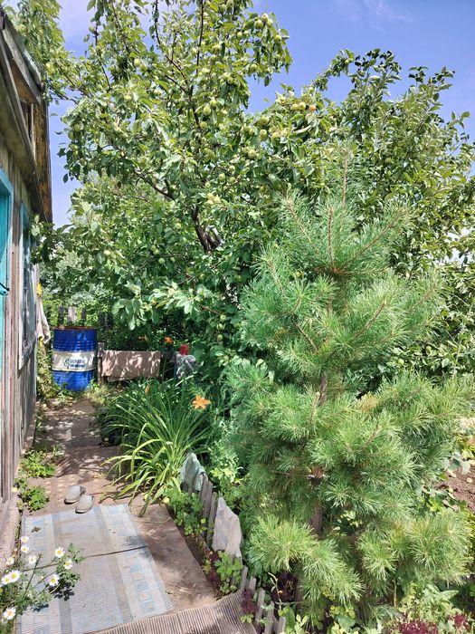 Дача  Сортировка