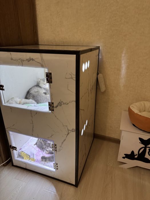 Дом для Кошек и Котят / Для Родов на заказ