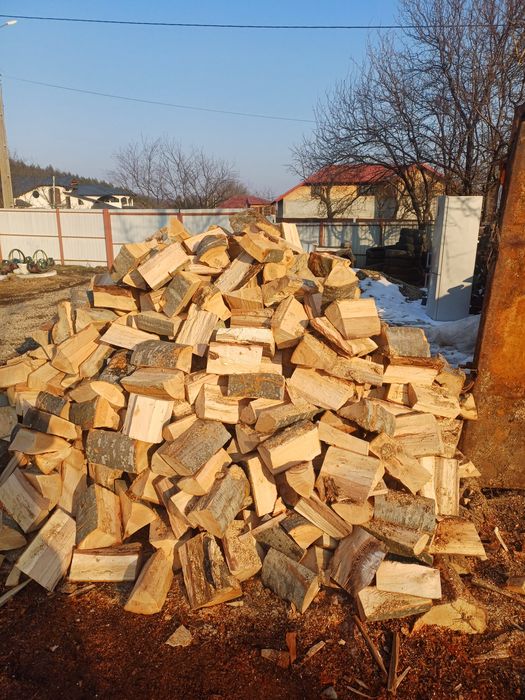 Vând lemn foc..fag+ diverse tari