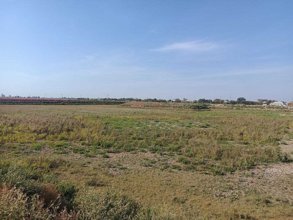 "Baliq xavzasi" mulki