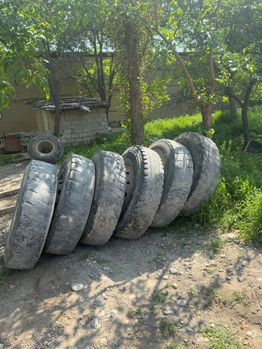 Hovo balon diskala bilan 6 ta