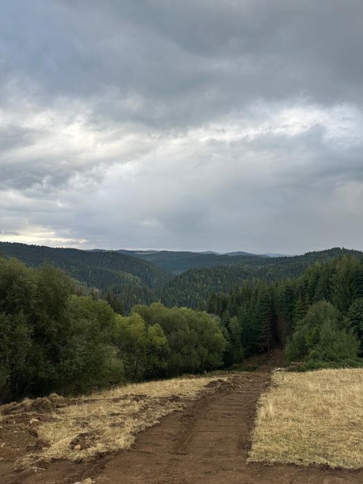 Teren la munte,Maguri judetul Cluj