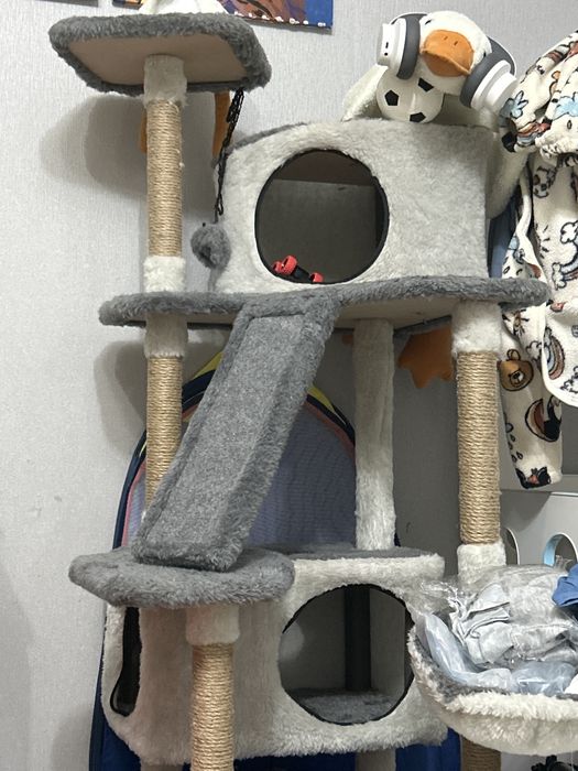 Отдам кота с вещами