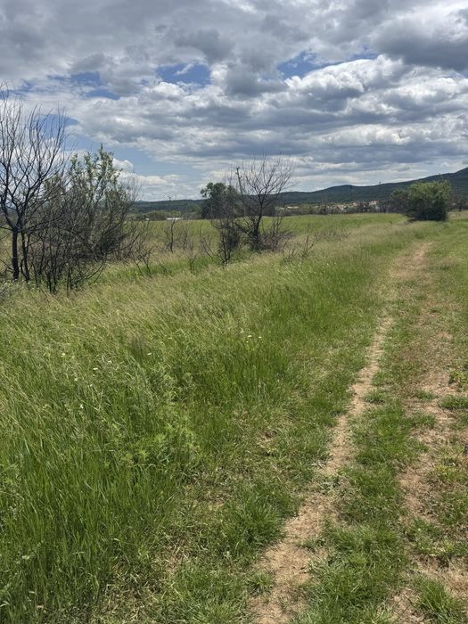 Продава се Земеделски имот в с. Пиперков чифлик, Област Кюстендил -  кв.м за 3395 €/дка - Снимка #3