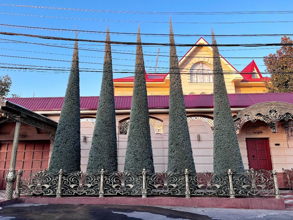 Archa stirichk qilish gazong ekosh lanshaf qilish