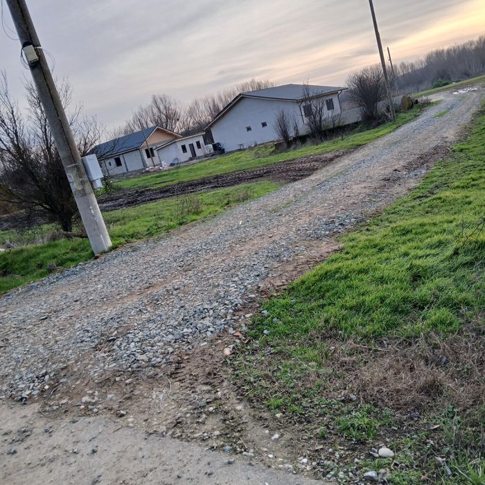 Teren de vânzare com Crivăț