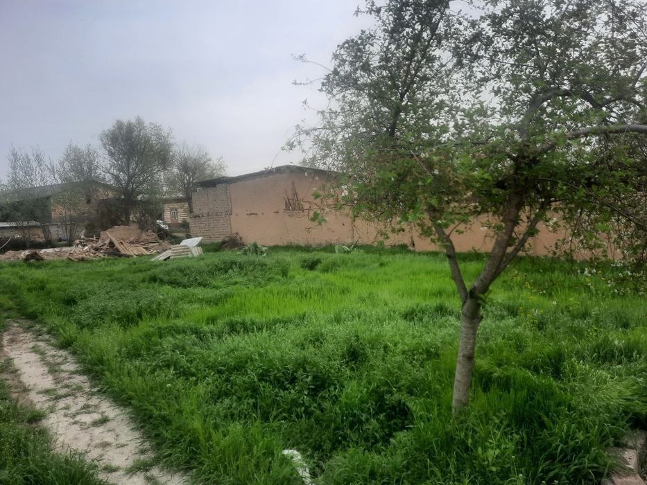 8 sotix yer sotiladi