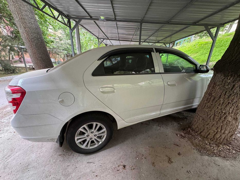 кобальт МСМ 2025 декабрь белый