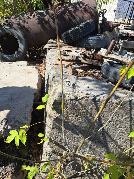 Отдам  Бетонные  Блоки