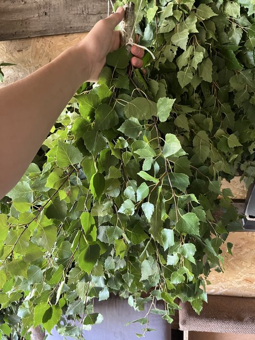 Продам веники банные березовые