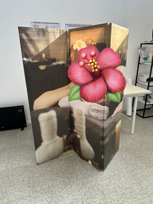 Ширма 15000тг картины 5000тг