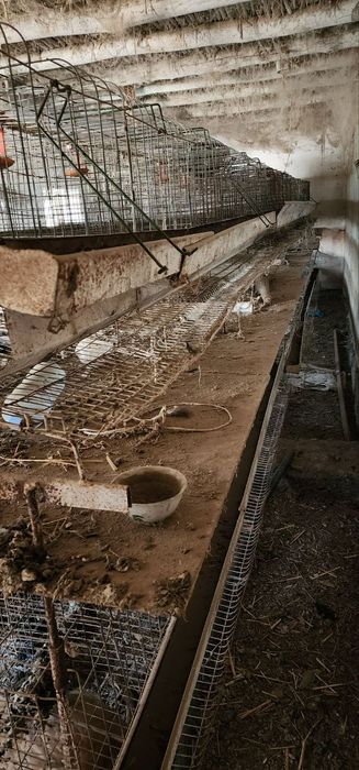 Tovuq kletka sotiladi 1000 sgadi