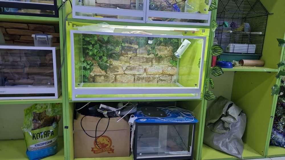 Террариум для рептилий