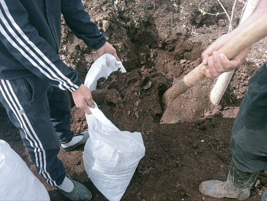 Chirigan va qoplangan goʻng