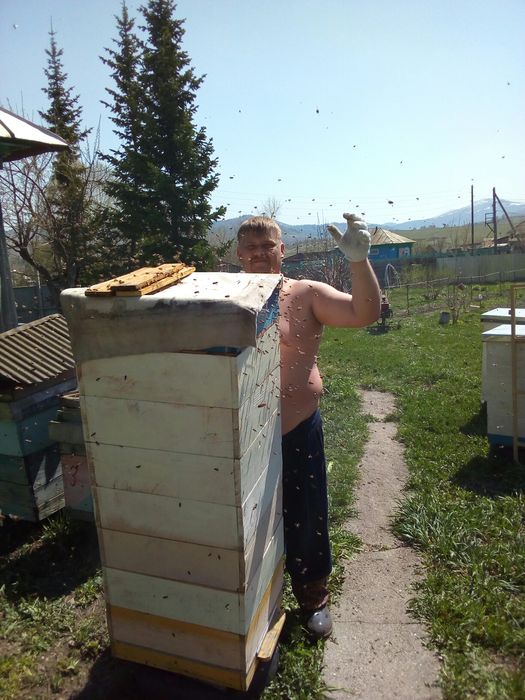 Мёд качество супер с собственной пасеки.