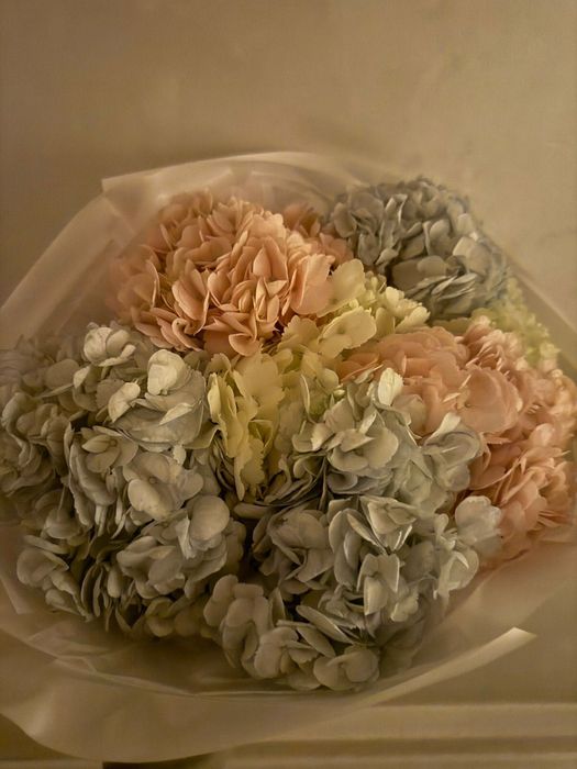 Цветы гортензий свежые