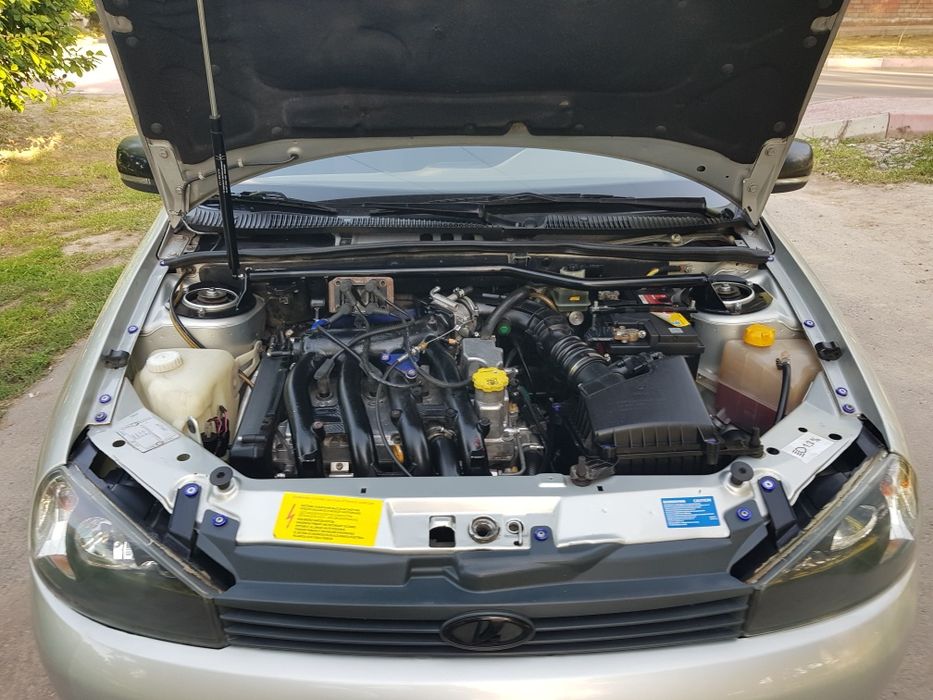 Калина цвет Рислинг.