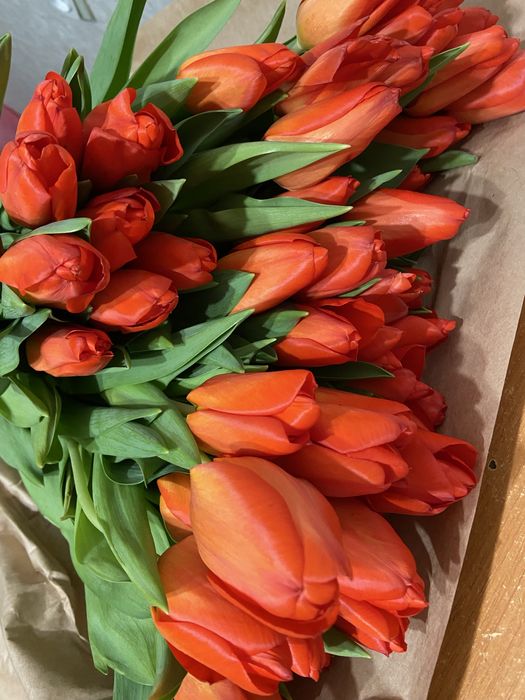 Тюльпаны Павлодар к 8 марта